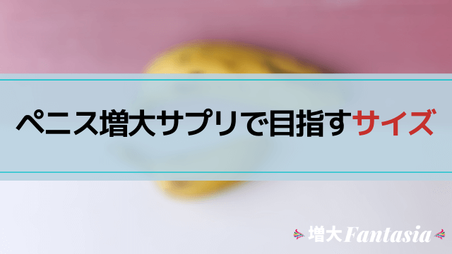 ペニス増大サプリで目指すサイズ